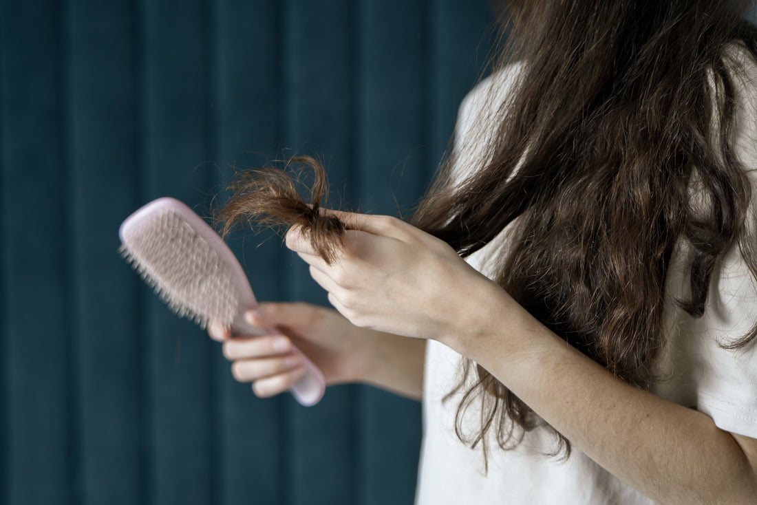Come Iniziare una Collezione di Profumi nel 2026