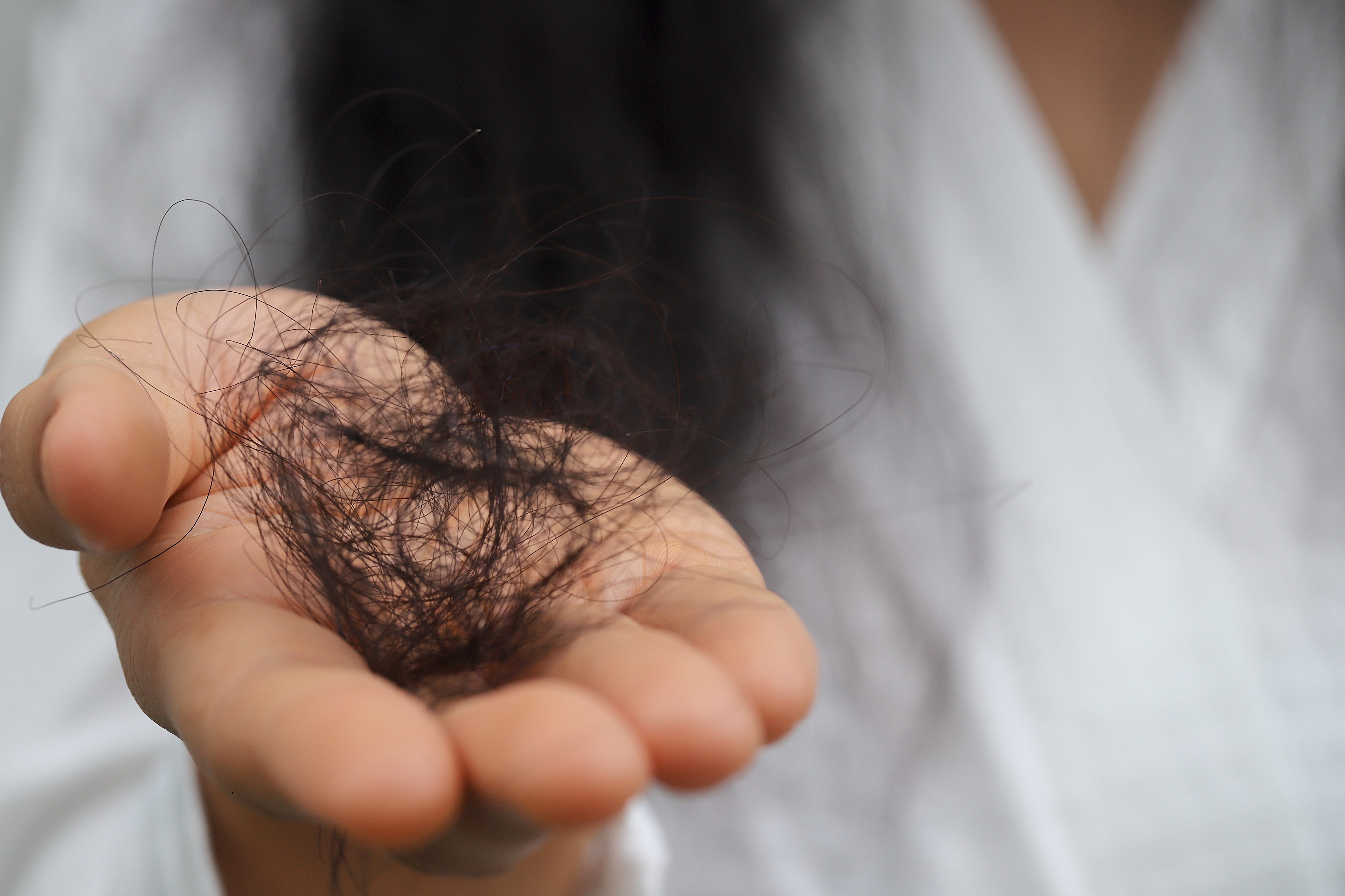 Capelli Dopo Vacanze: Recupero Salute Completo