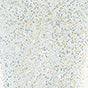 PEGGY SAGE I-LAK SOAK OFF GEL POLISH DIAMOND SKY - 11ML - Tre Pi Profumerie