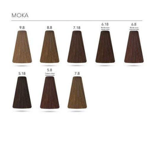 L'OREAL PROFESSIONNEL INOA TINTA CAPELLI